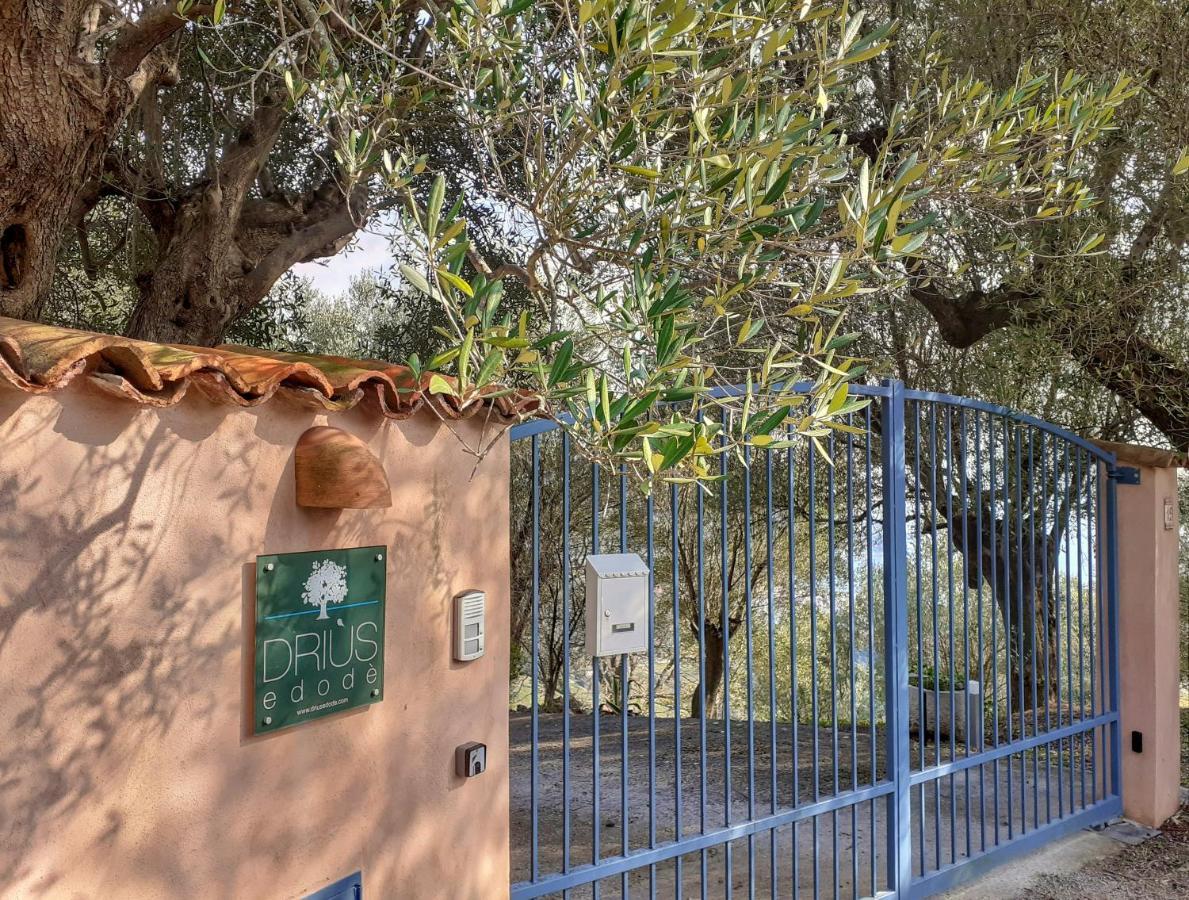 Drius Edode - B&B Affittacamere Torraca Exteriör bild