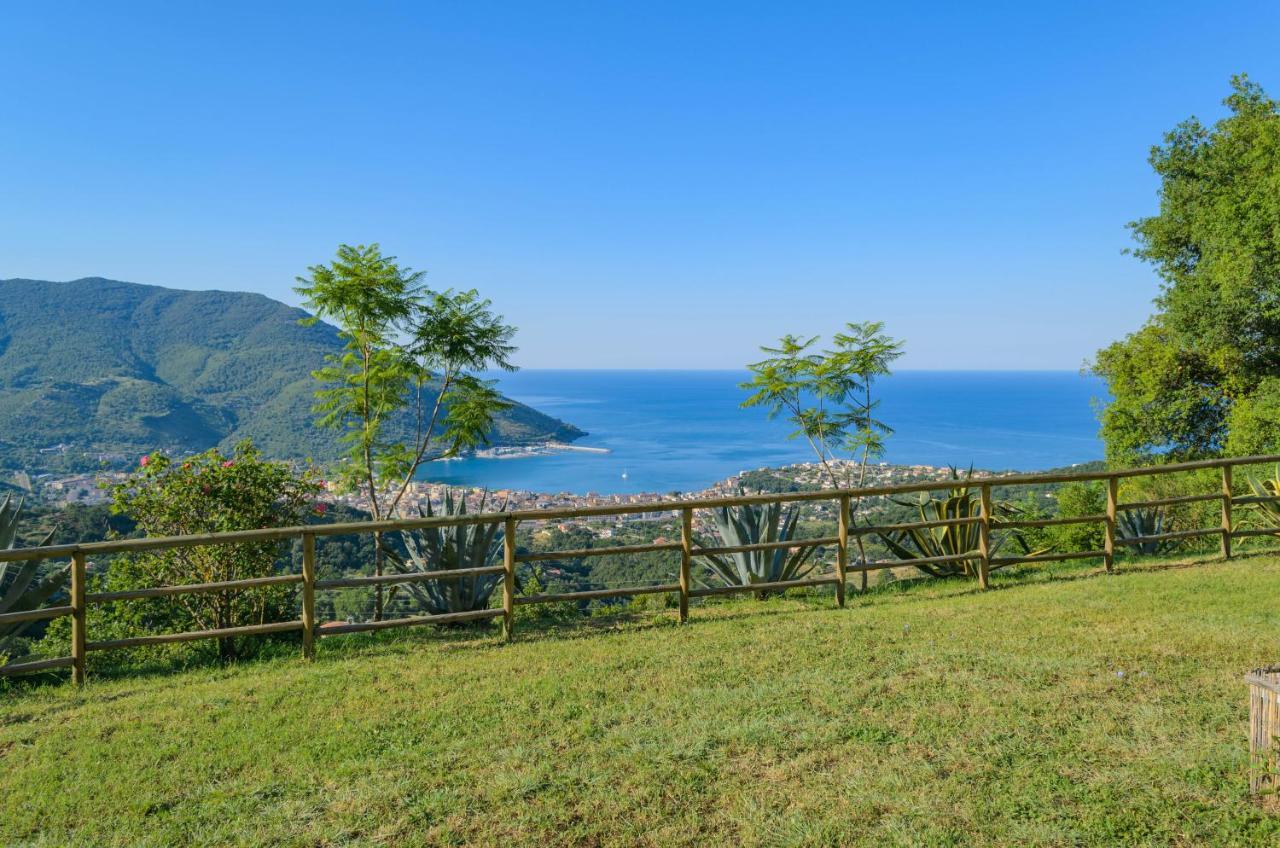 Drius Edode - B&B Affittacamere Torraca Exteriör bild